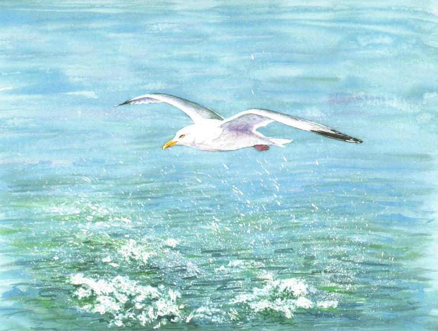 Magnetic Fridge Pad - Seagull in Flight
