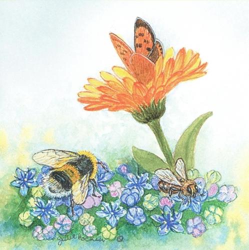 Small Magnetic Fridge Pad - Small Copper Butt