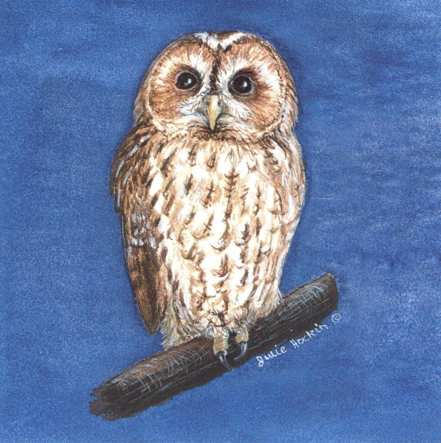 Small Magnetic Fridge Pad - Tawny Owl