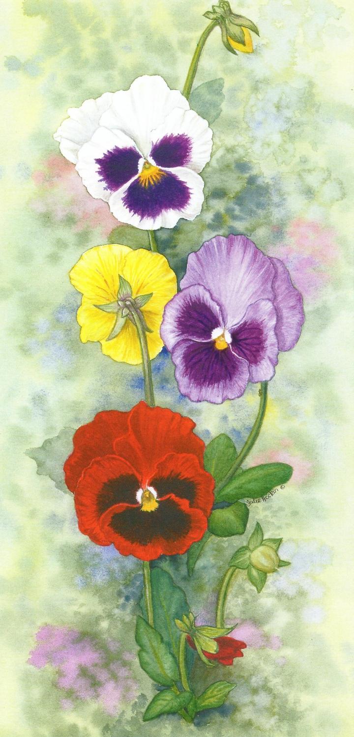 Tall Card - Pansy