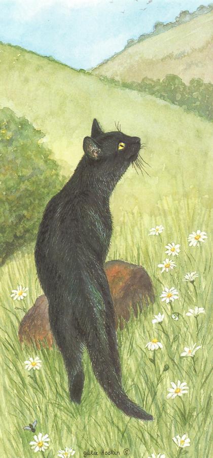 Tall Card - Black Cat