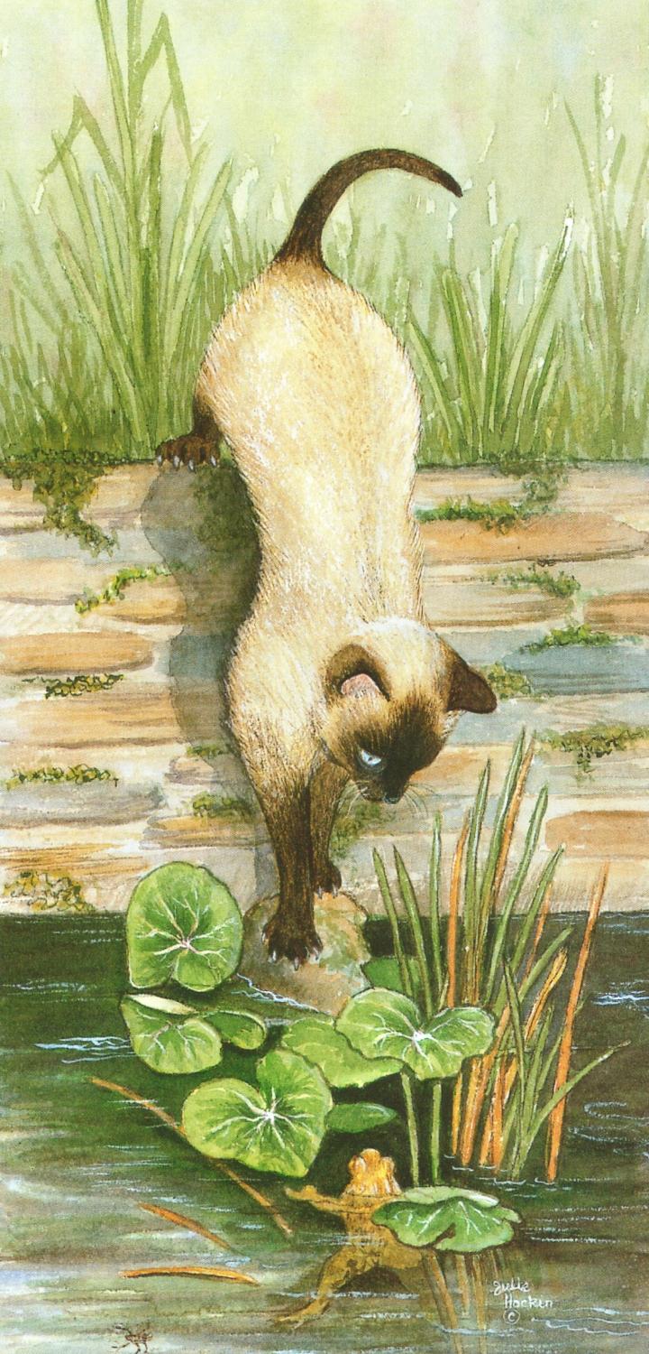 Tall Card - Siamese Cat