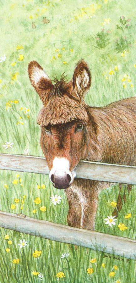 Tall Card - Donkey