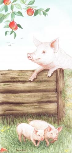 Tall Card - Pigs