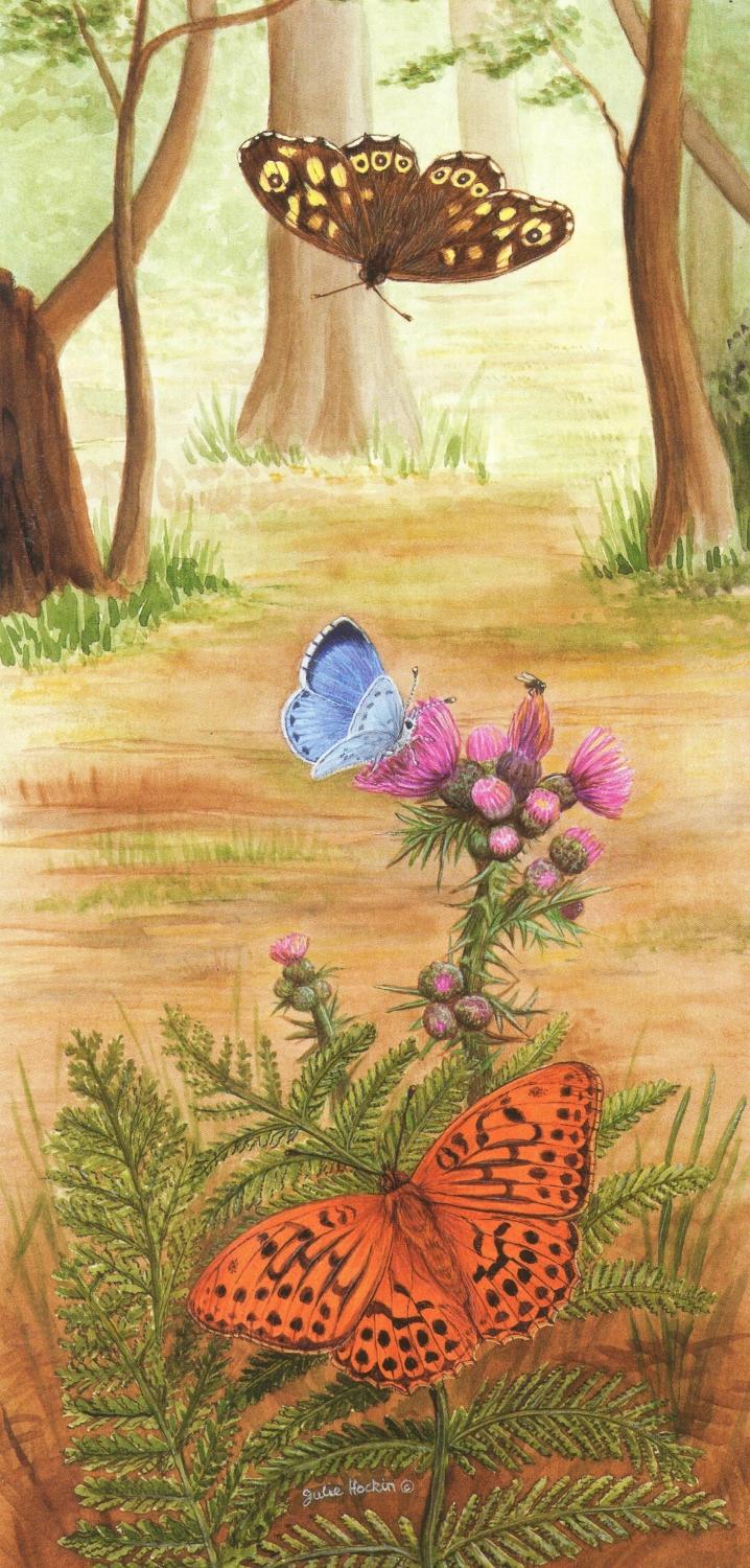 Tall Card - Woodland Butterfly