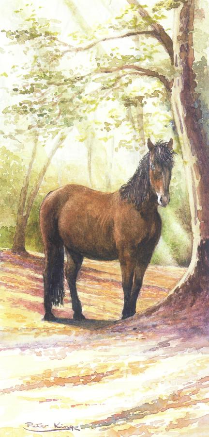 Tall Card - New Forest Pony