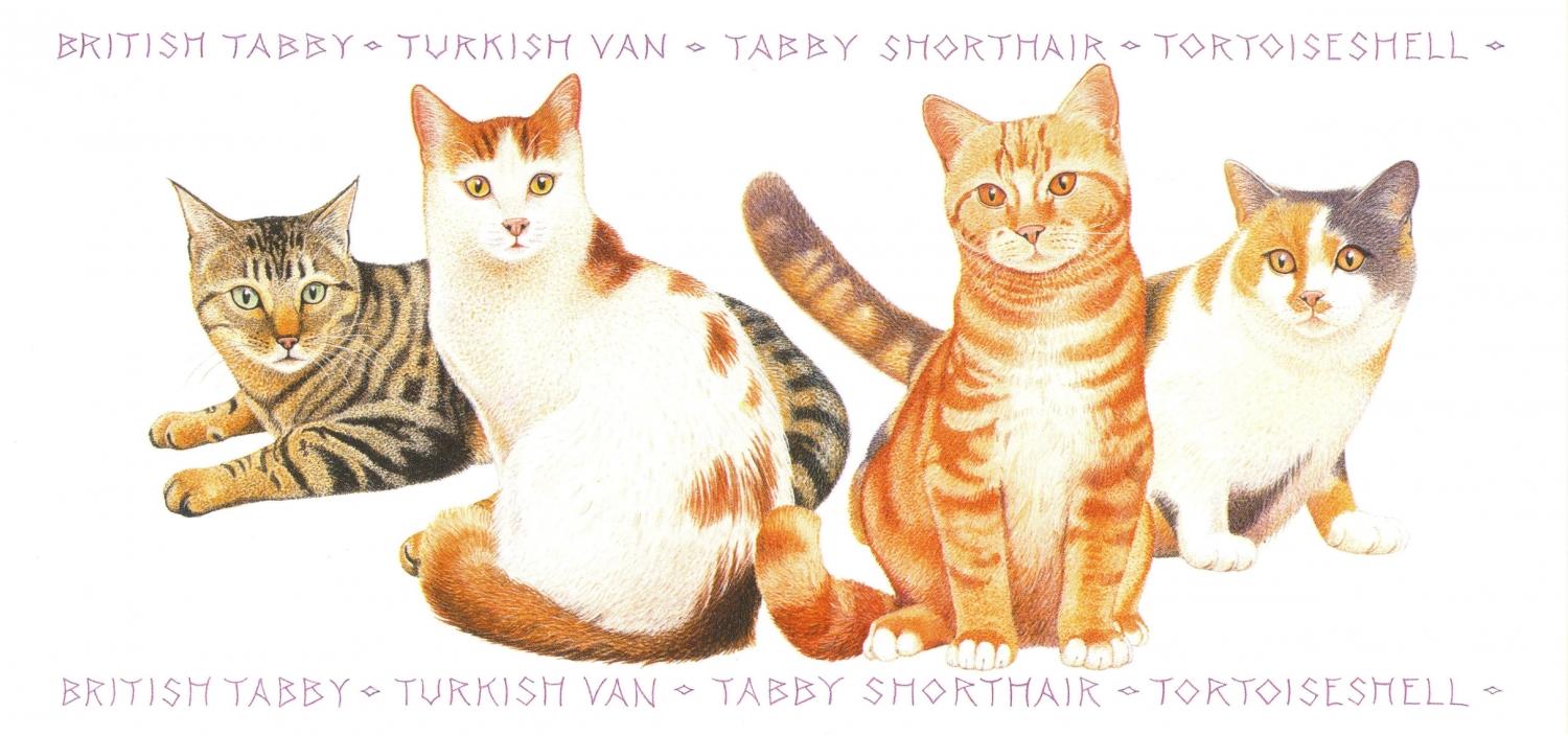 Tall Card - Tabby Cats