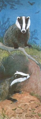 Bookmark - Badgers