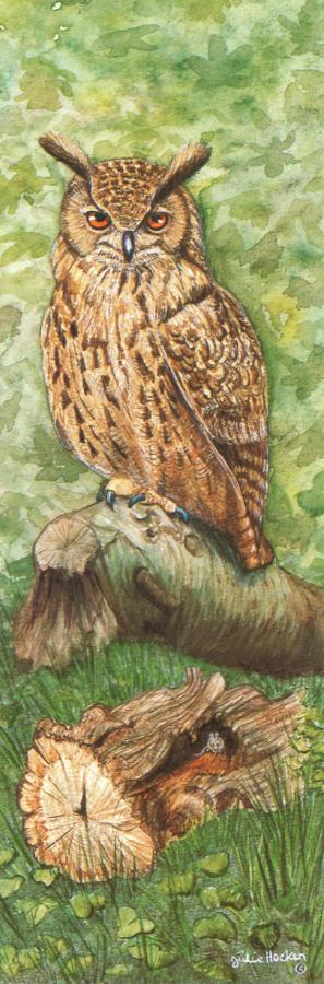 Narrow Card - Eagle Owl