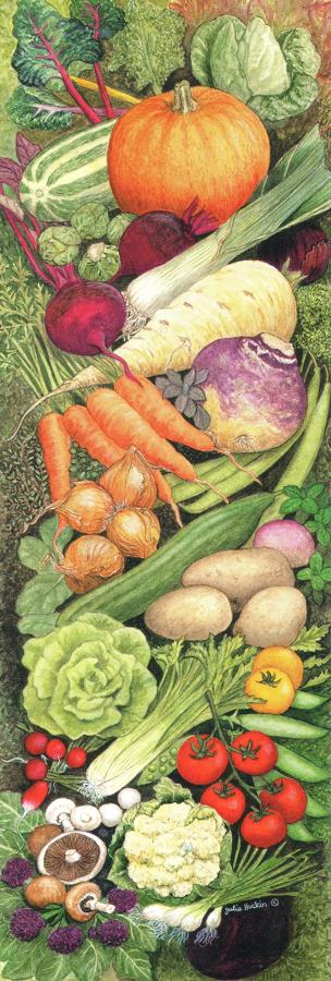 Narrow Card - Kitchen Vegetables