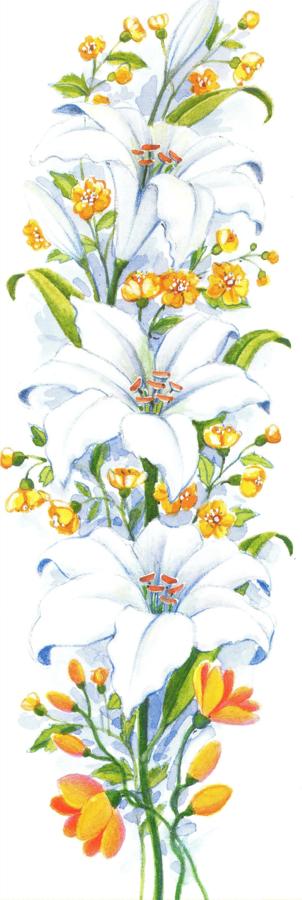 Narrow Card - White Lily