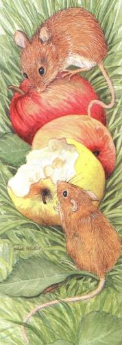 Bookmark - Field Mice