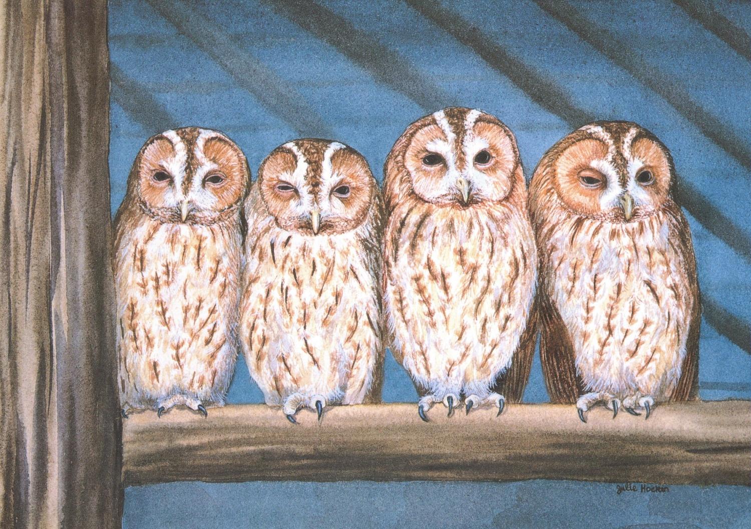 Card - Rescue Owls