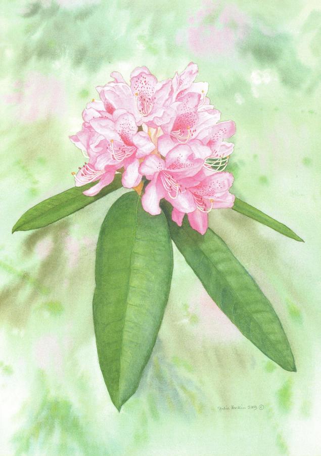 Card - Rhododendron