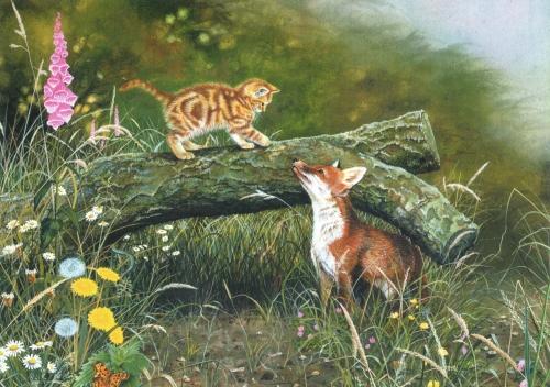 Card - First Encounter