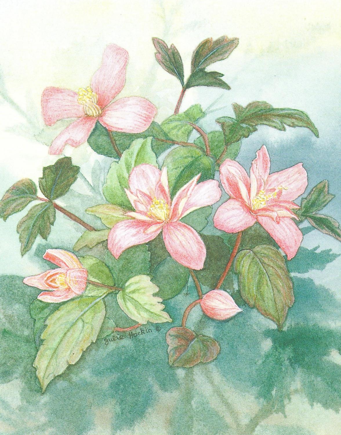 Small Card - Clematis