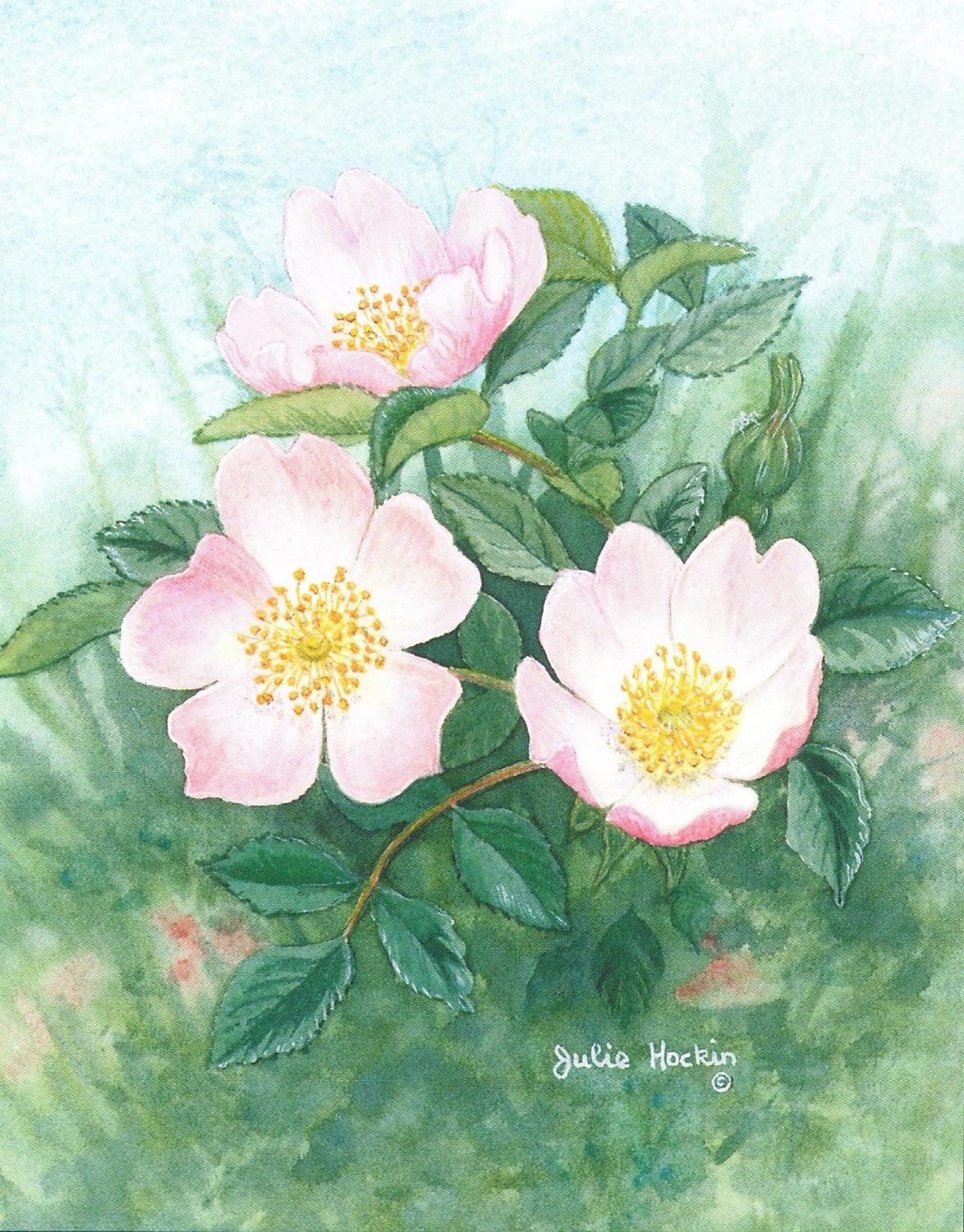 Small Card - Wild Rose