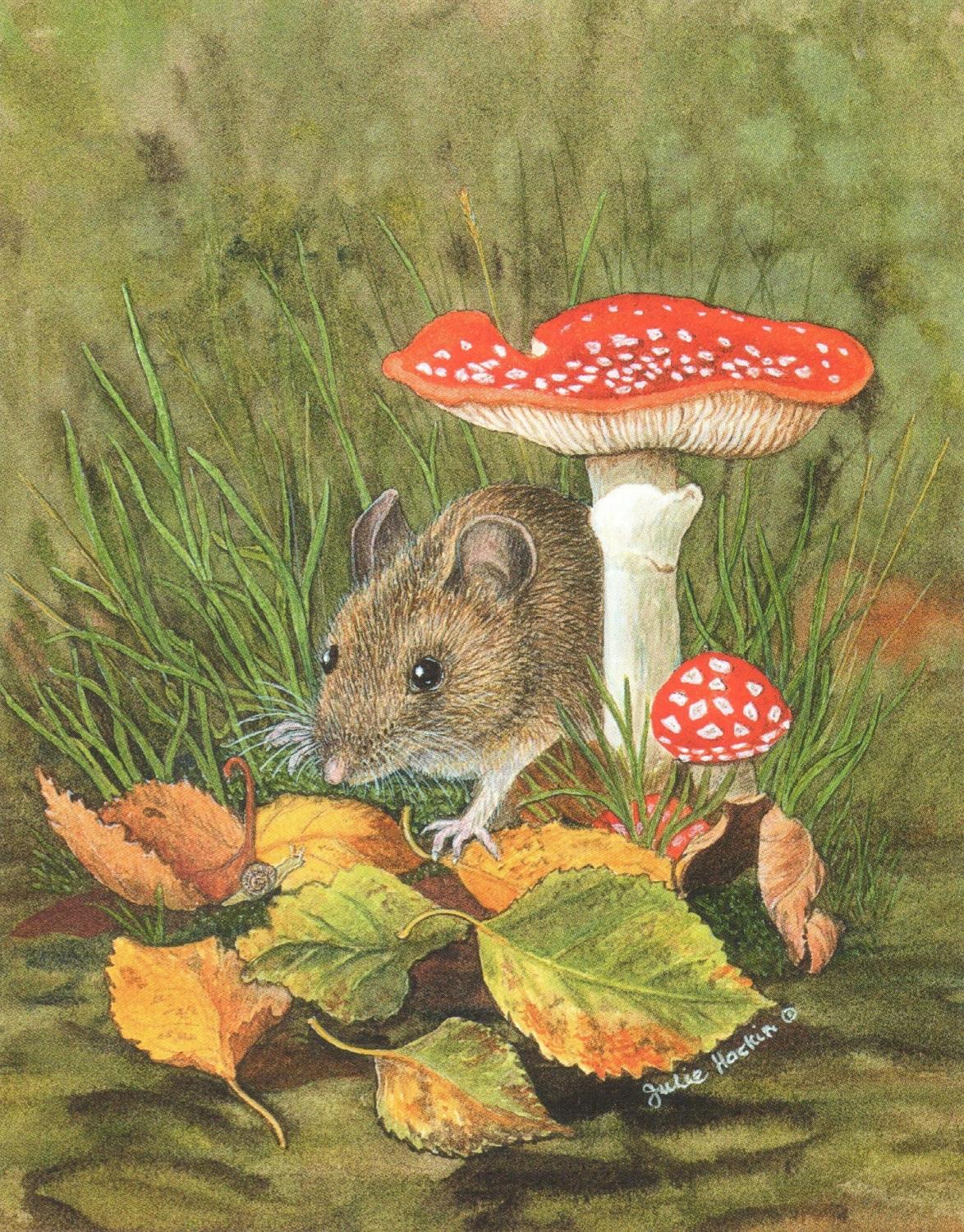 Small Card - Woodmouse