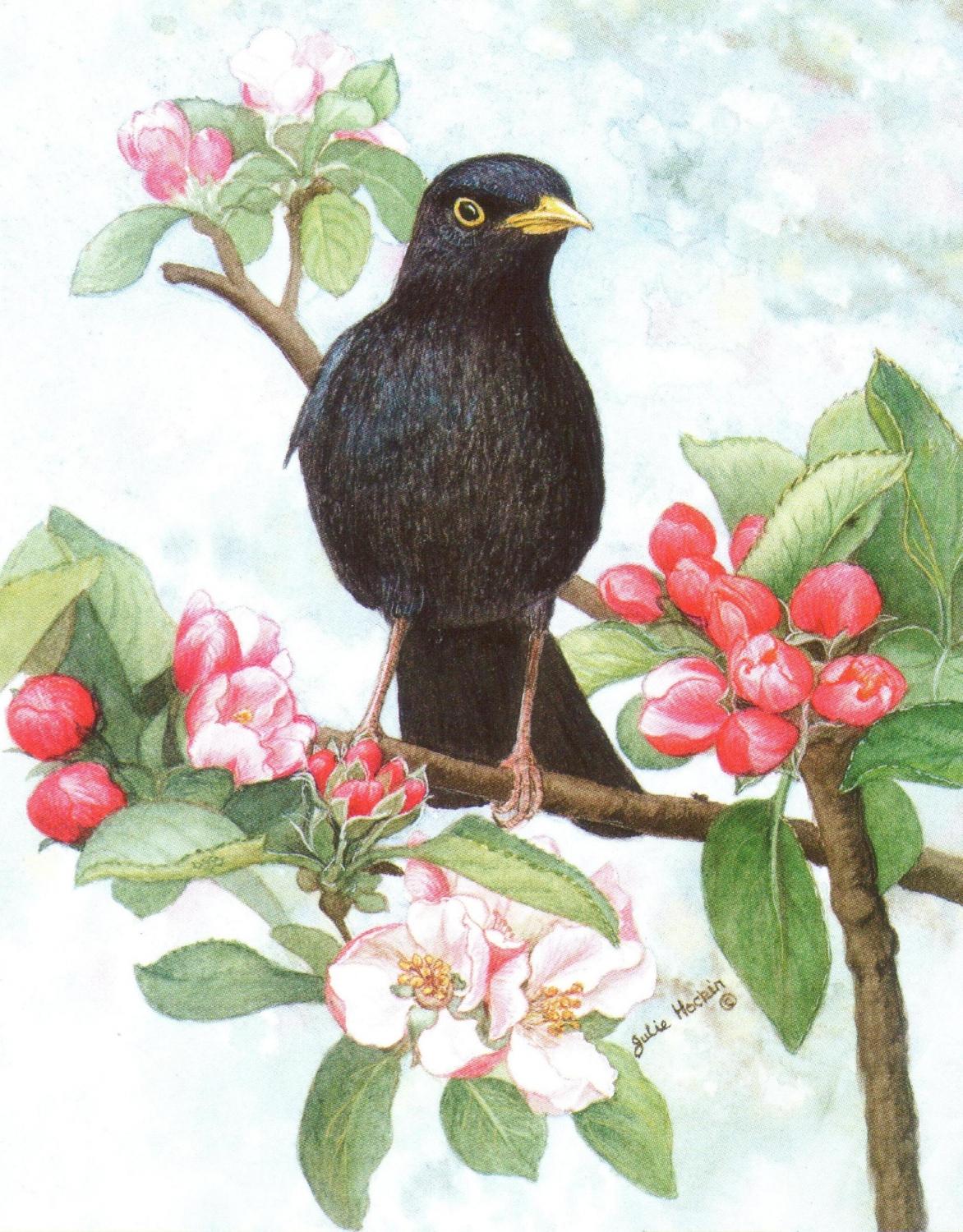 Small Card - Blackbird