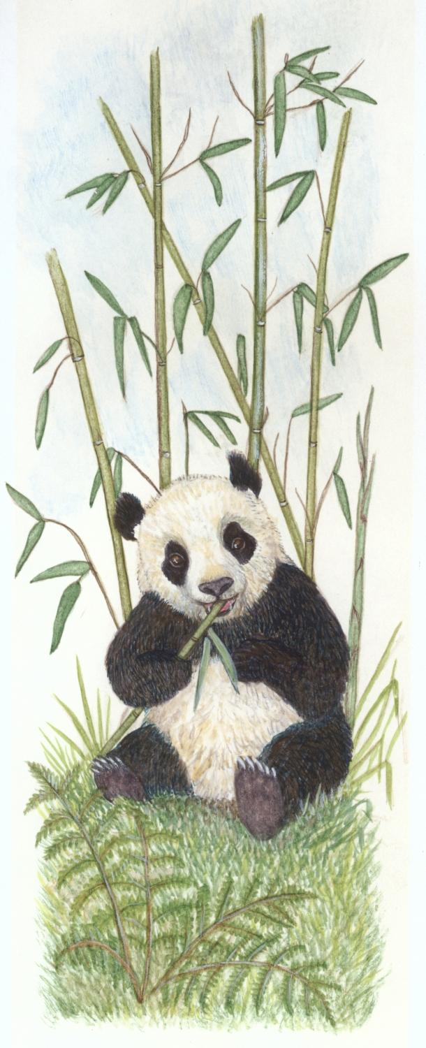 Bookmark - Panda