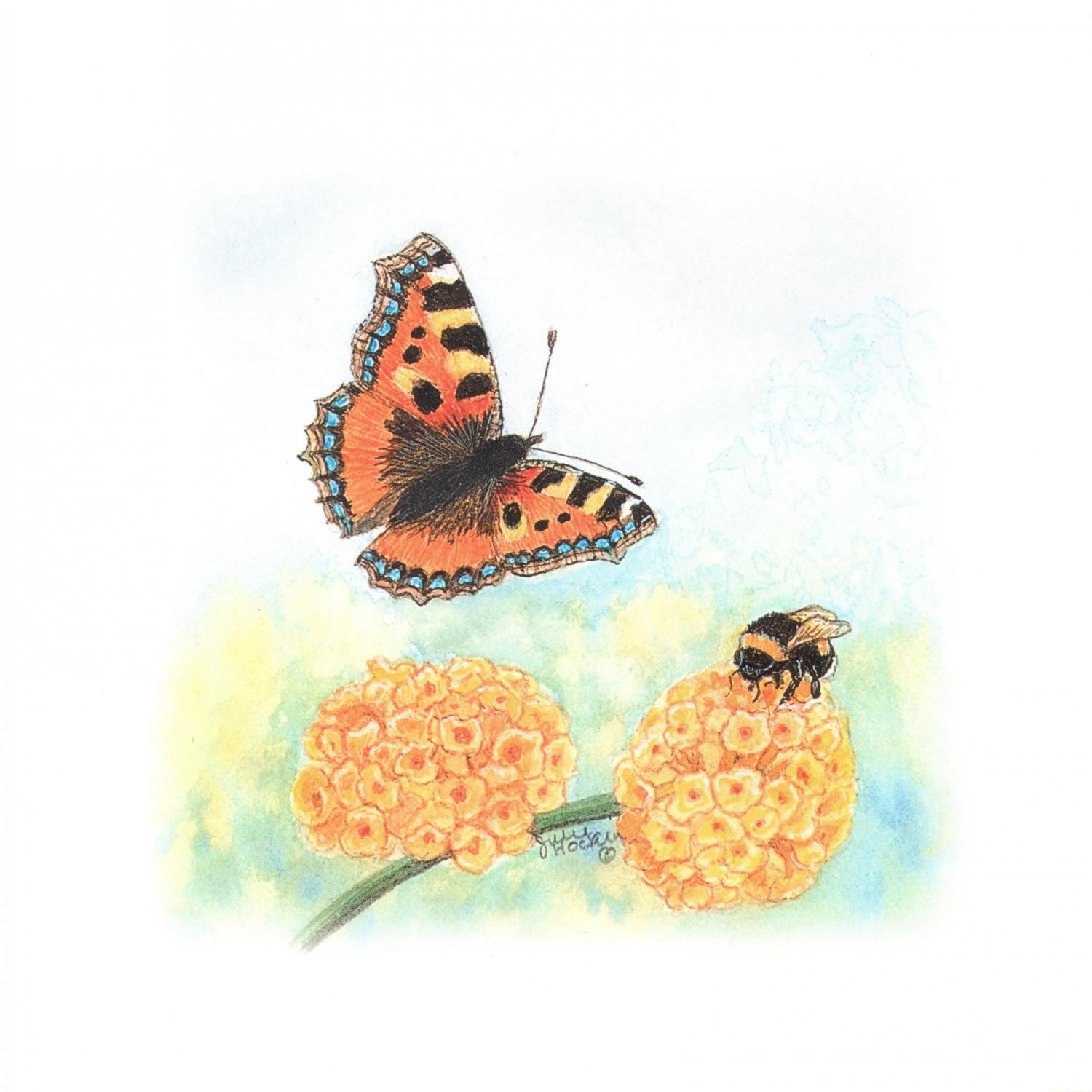 Square Card - Tortoiseshell Butterfly