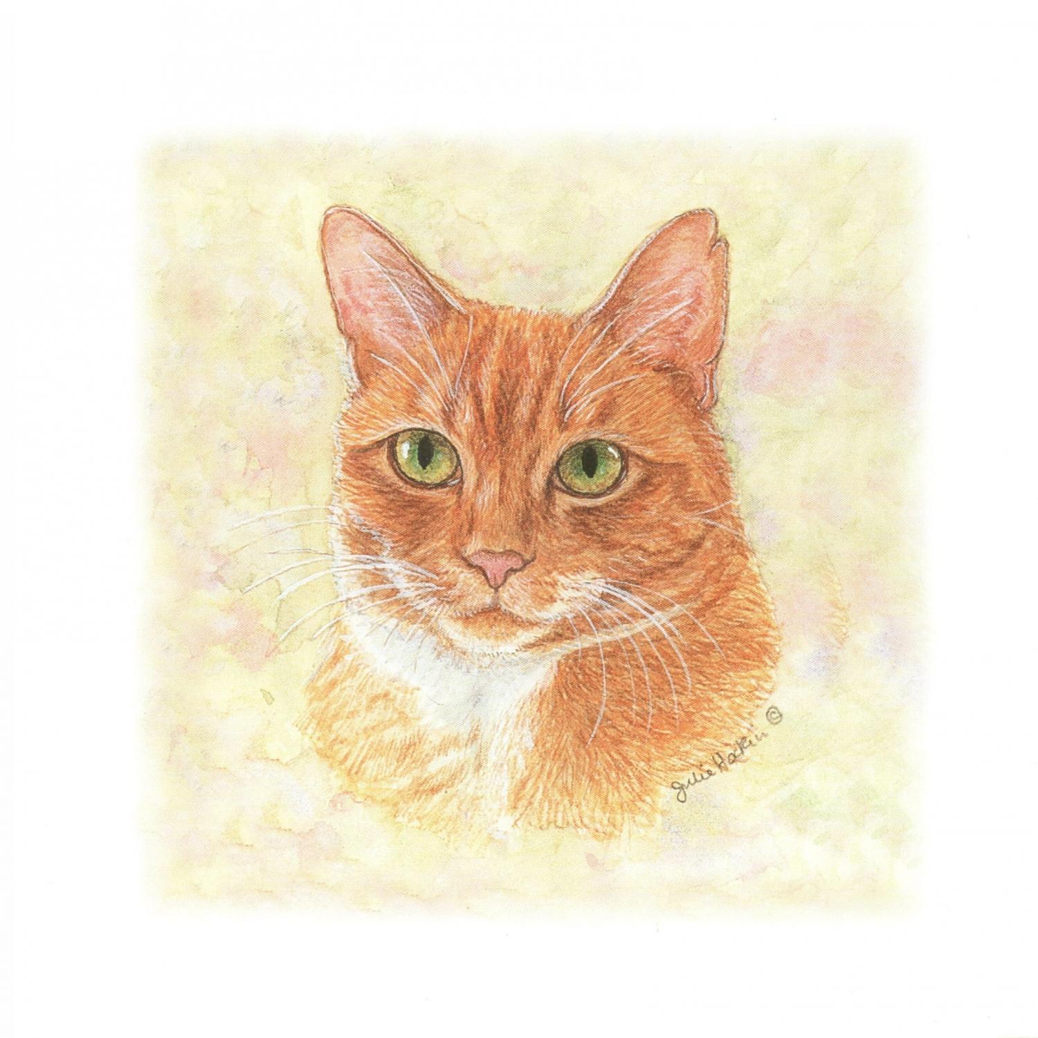 Square Card - Ginger Cat