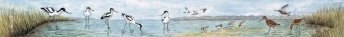 Ruler - Waders