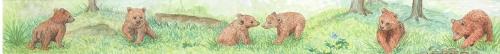 Ruler - Brown Bears