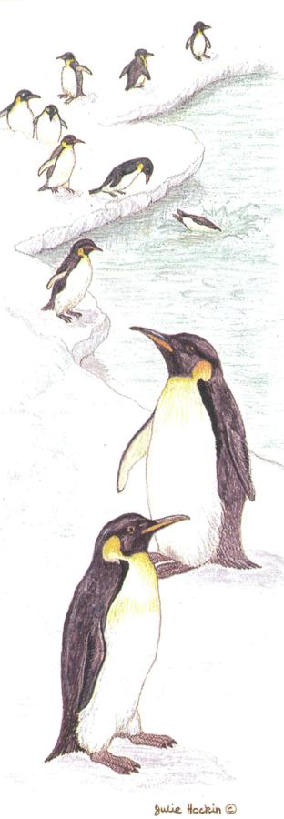 Bookmark - Penguins