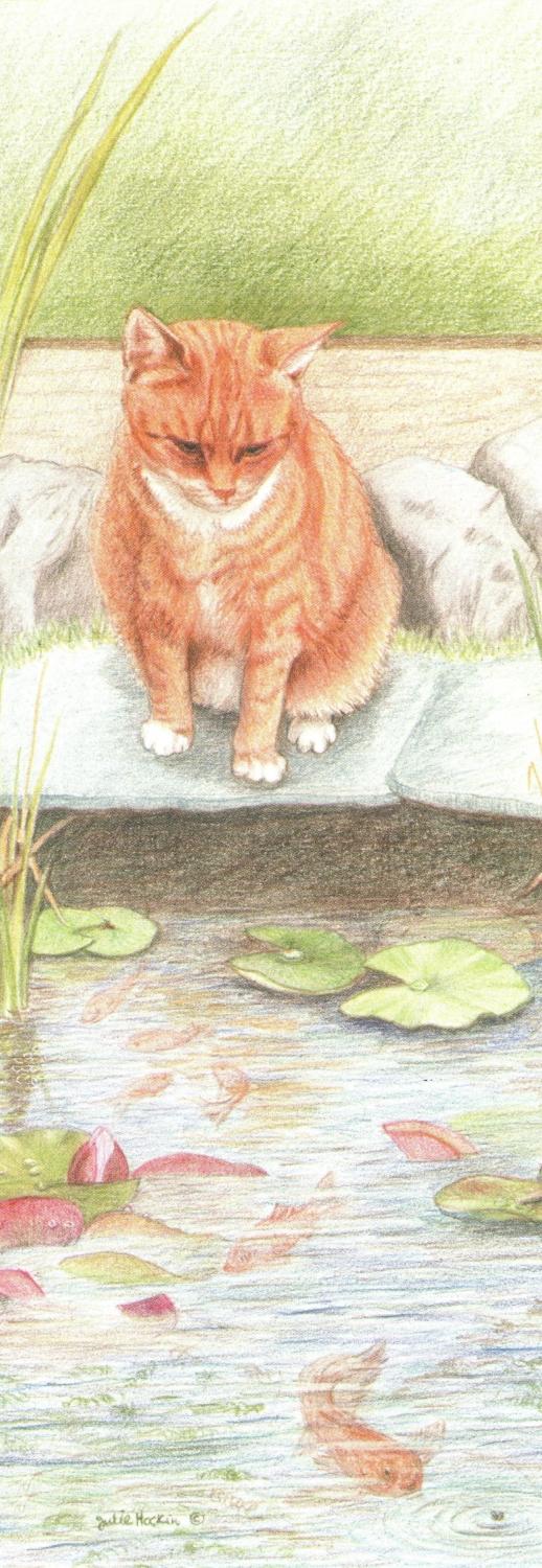 Pen & Pad Set - Ginger Cat